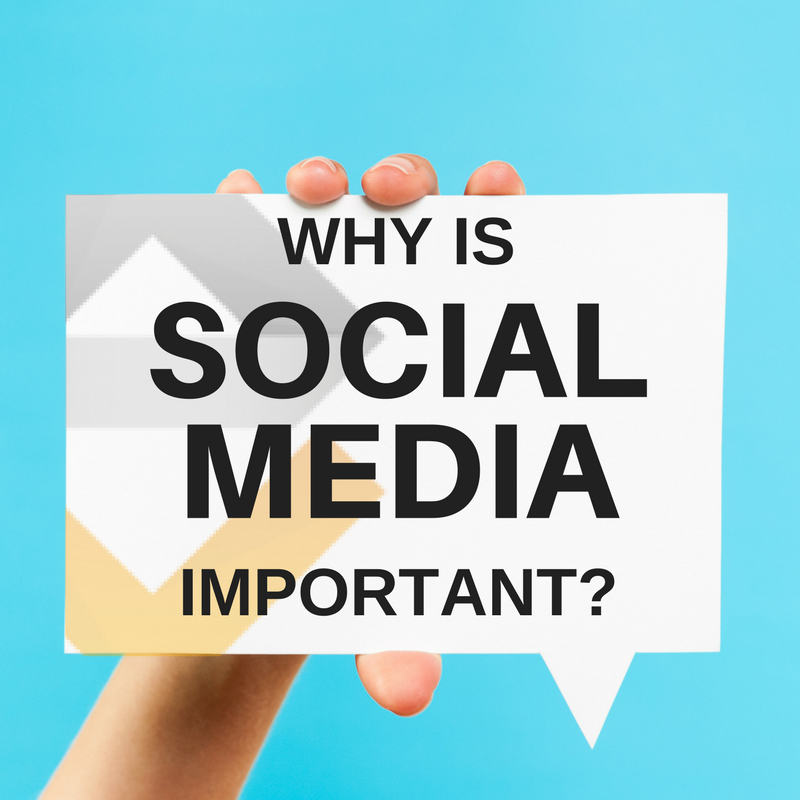 why social media is important in our life essay