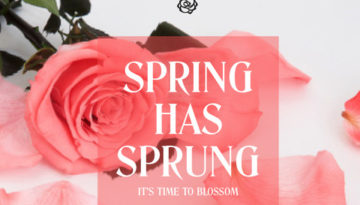 Spring Has Sprung - Endura Roses