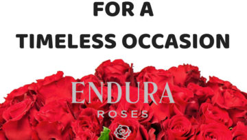 Endura Roses & The Royal Wedding