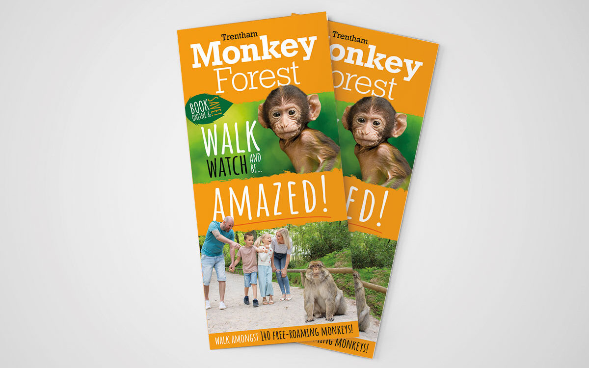 MonkeyForest-leaflet01